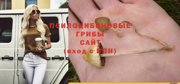стафф Алексин