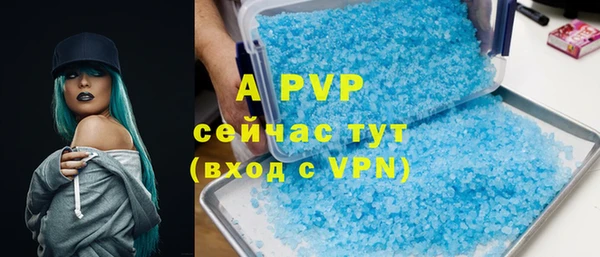 стафф Алексин
