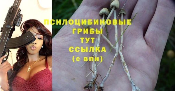 герыч Алексеевка