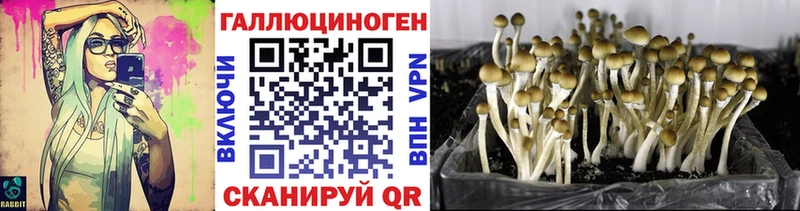 Галлюциногенные грибы ЛСД  Сенгилей 